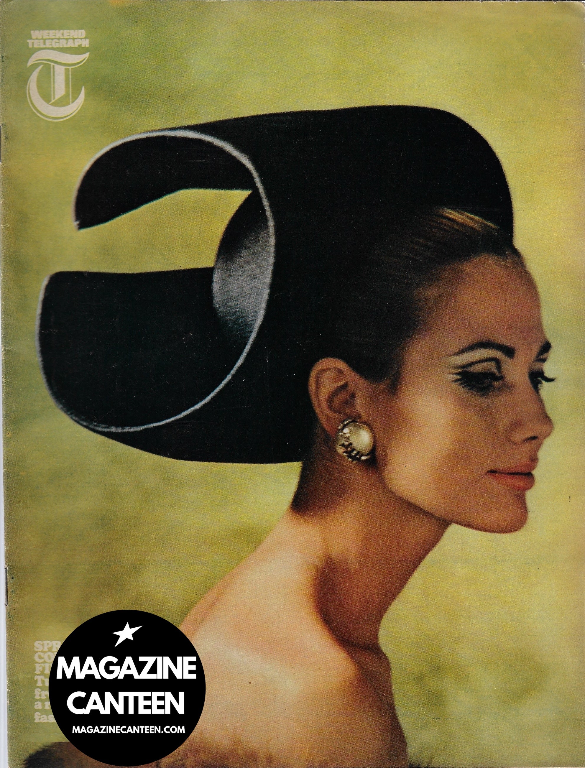 The Telegraph Magazine - Robert Freson FASHION Irene Galitzine