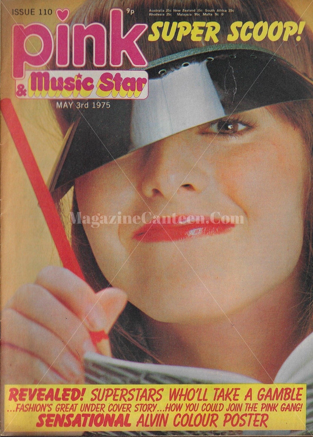 Pink Magazine Pink Magazine - Alvin Stardust – magazine canteen