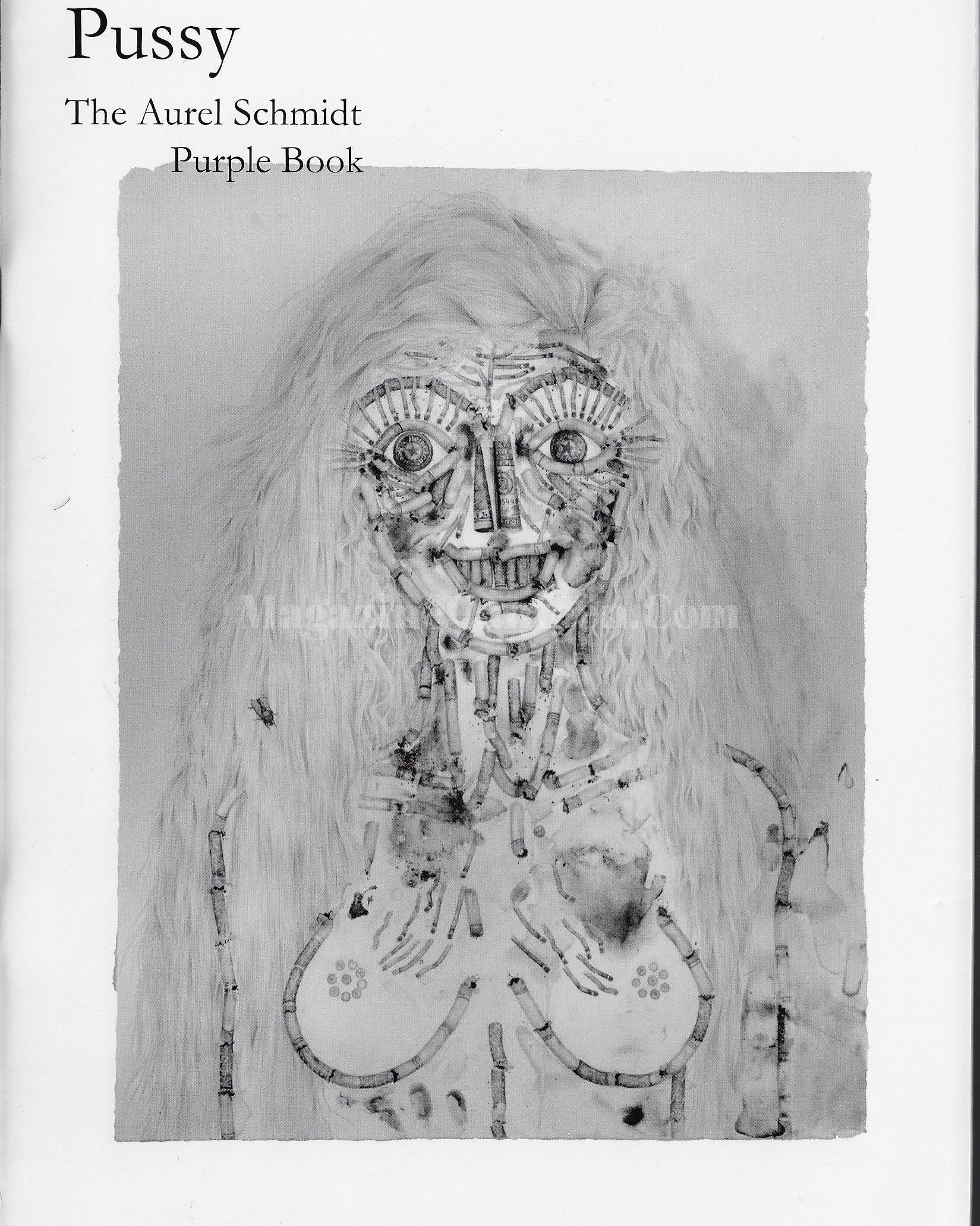 PURPLE Fashion Magazine ,Pussy: The Aurel Schmidt Purple Book