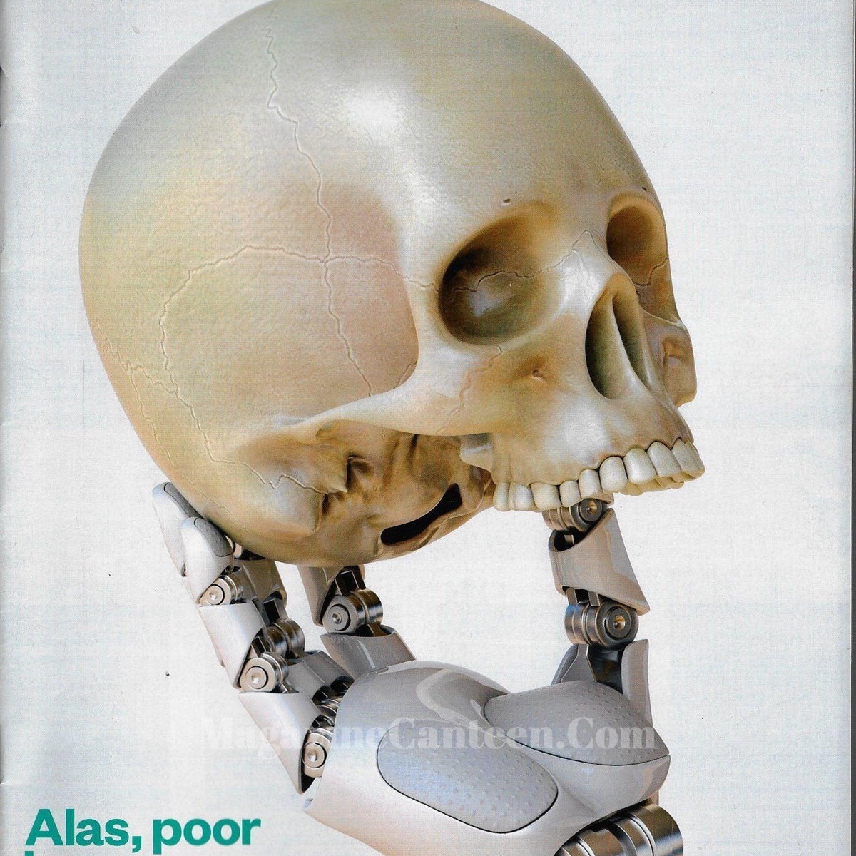 Sunday Times Magazine Lady Weymouth magazine canteen