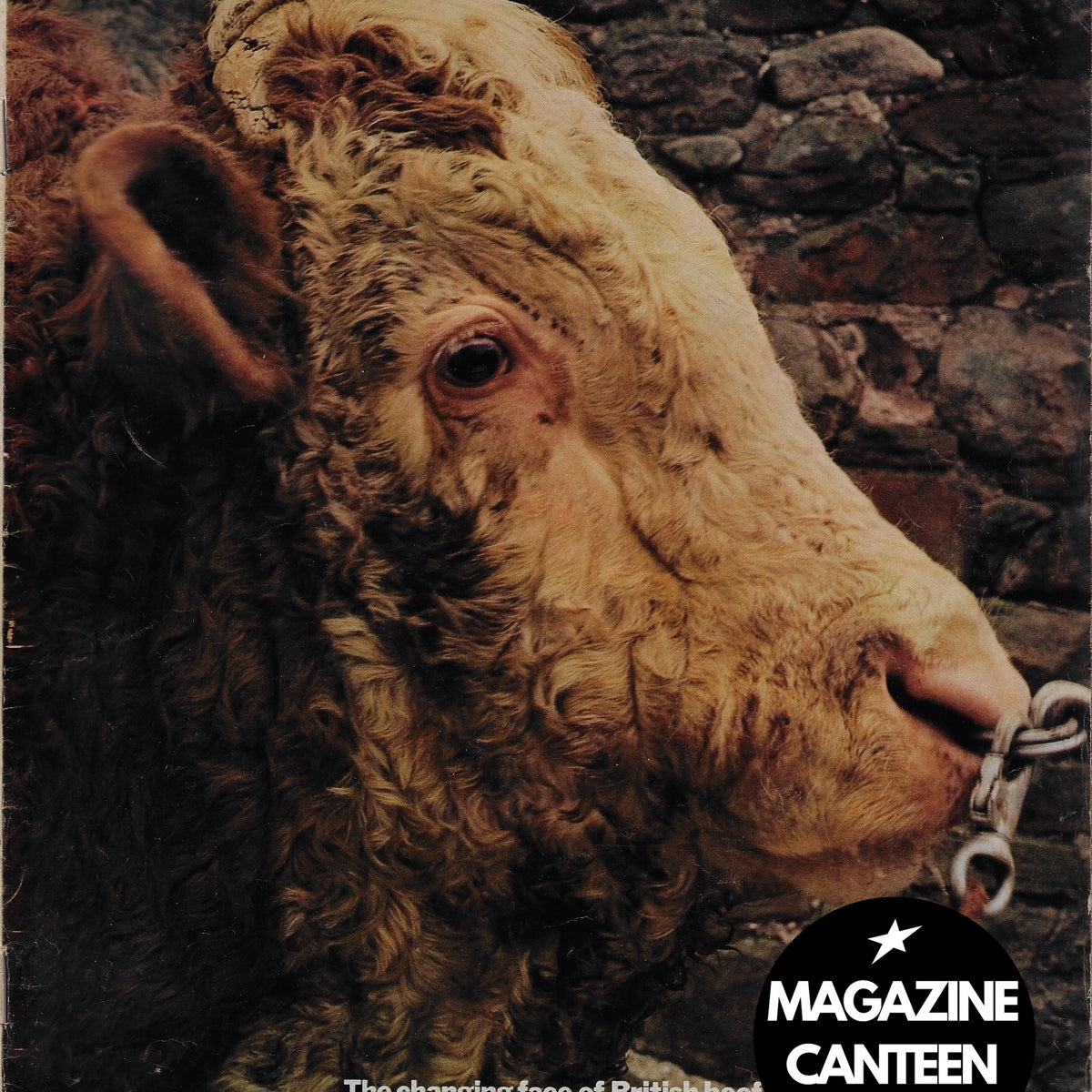 The Sunday Times Magazine - COWS Kenneth Griffiths – magazine canteen