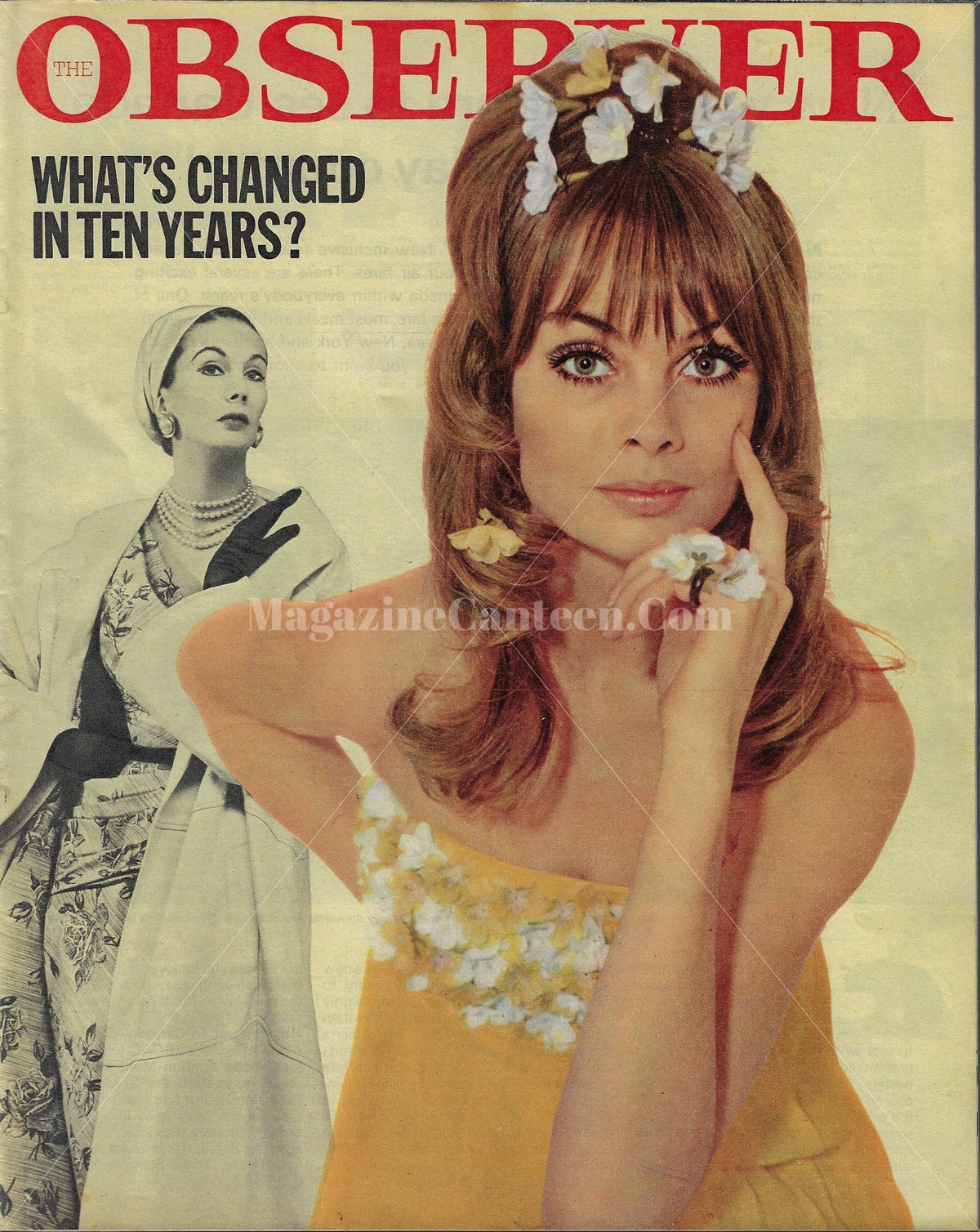 The Observer Magazine - Ray Rathborne Jean Shrimpton – magazine canteen