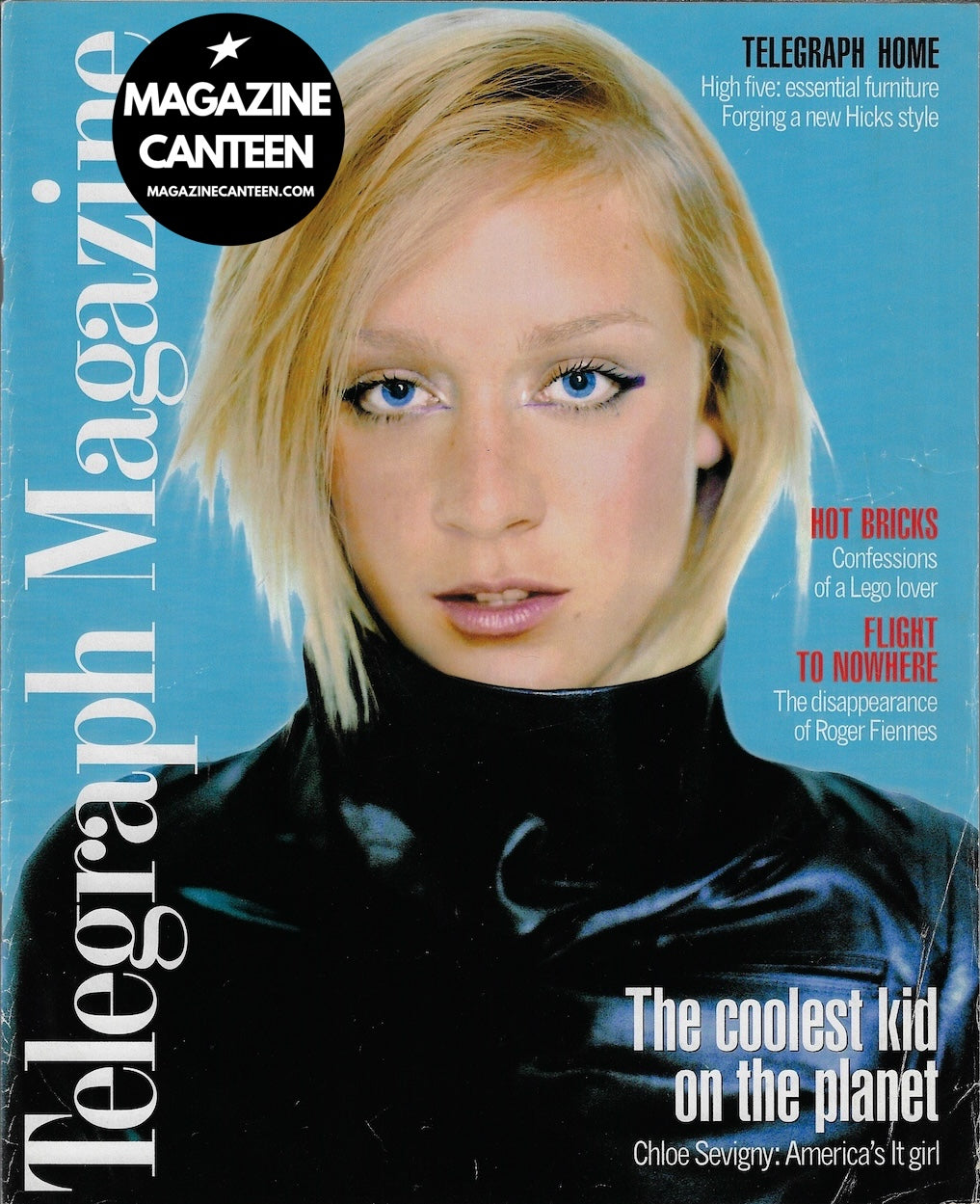 The Telegraph Magazine - CHLOE SEVIGNY Damian Elwes