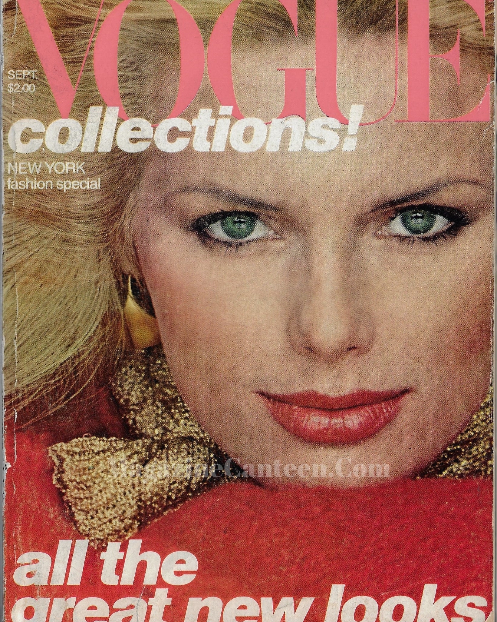 Vogue USA Magazine September 1977 - Patti Hansen