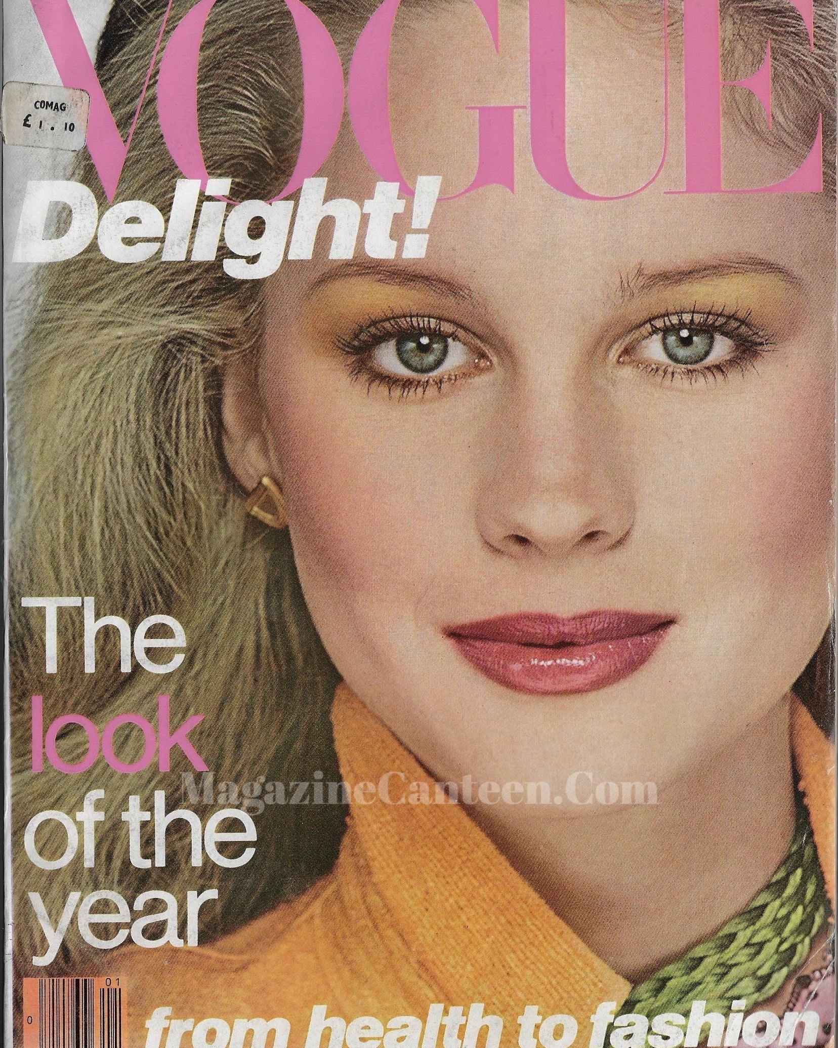 Vogue USA Magazine January 1978 - Rosie Vela