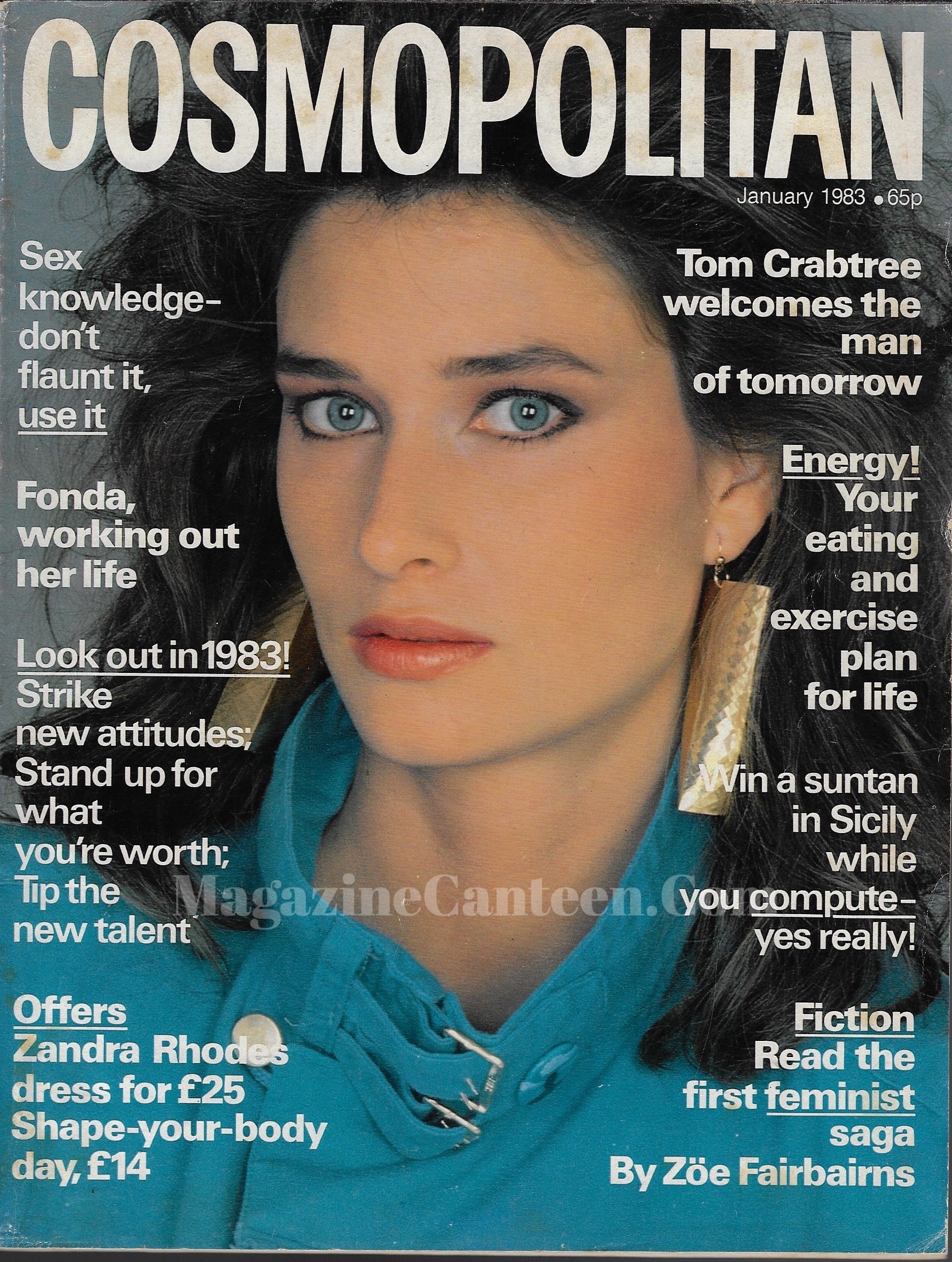 Cosmopolitan Magazine - Susan Schacter – magazine canteen