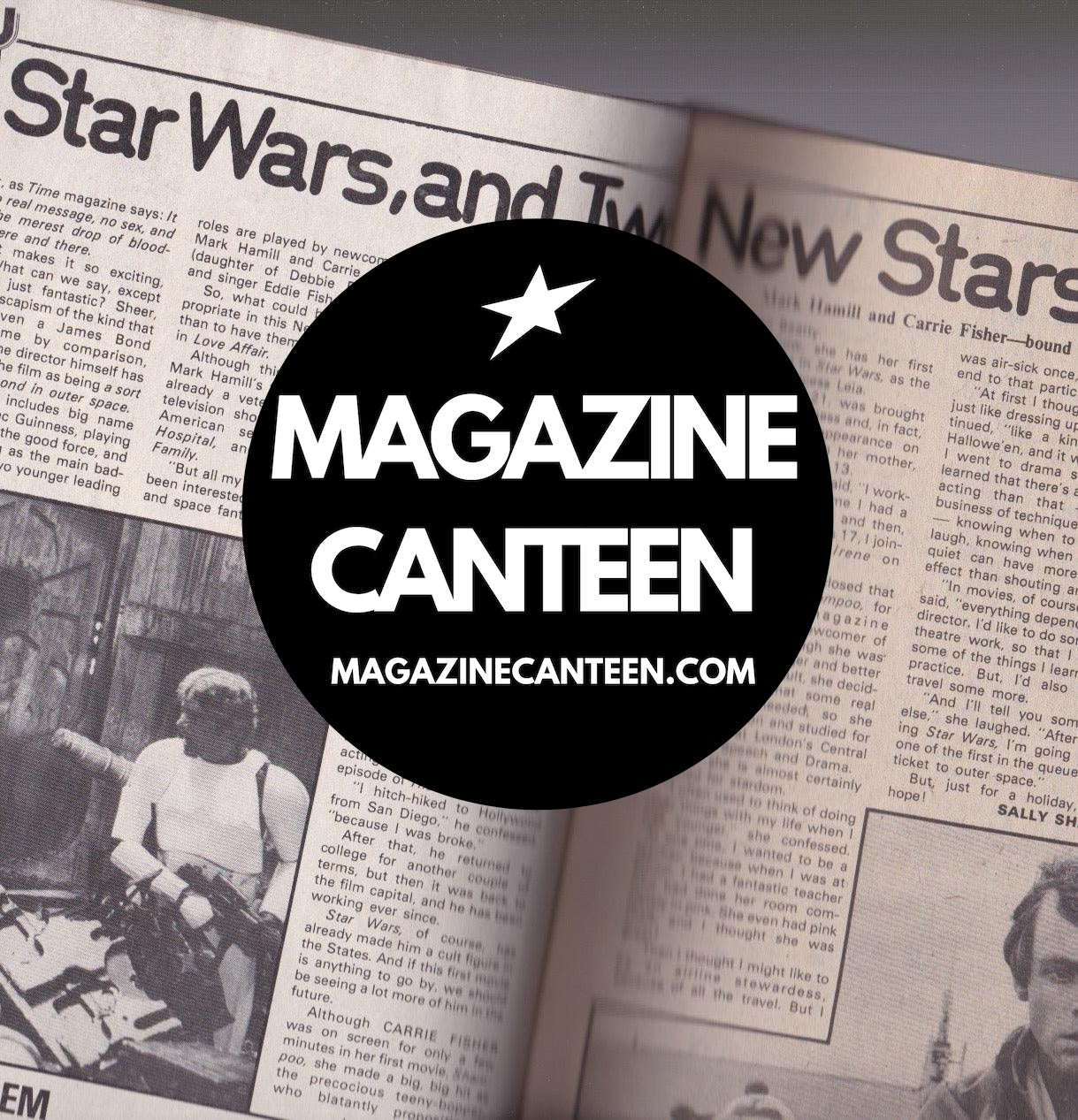 rare Love Affair Magazine - Star Wars mark hamill 1977